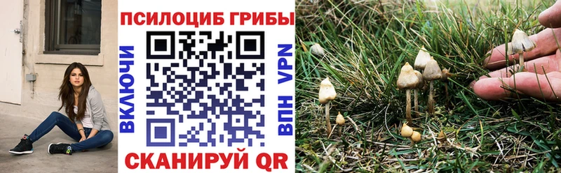 площадка официальный сайт  Перевоз  Галлюциногенные грибы мухоморы  blacksprut ССЫЛКА 